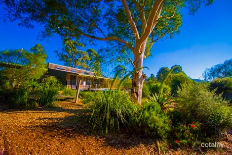 Property photo of 19 Wye Street Stroud NSW 2425