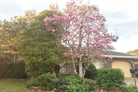 Property photo of 3 Maple Drive Alstonville NSW 2477