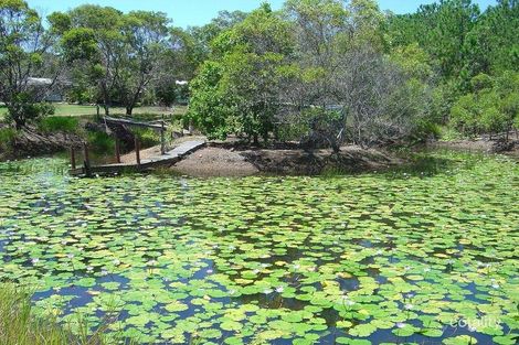 Property photo of 19 Donaldson Road Booral QLD 4655