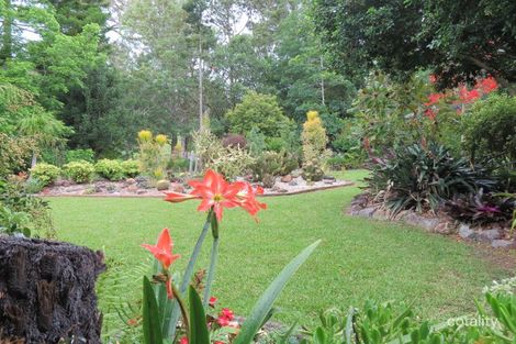 Property photo of 676 Upper Lansdowne Road Upper Lansdowne NSW 2430