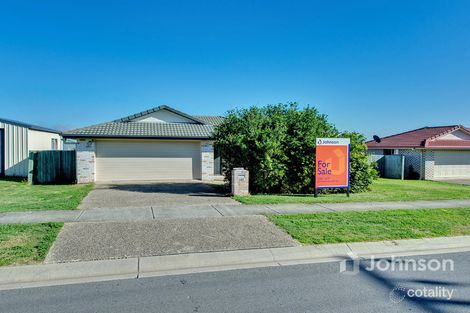 Property photo of 169 Thornton Street Raceview QLD 4305