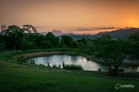 Property photo of 56 Hoop Pine Road Dulguigan NSW 2484