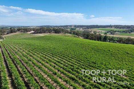 61 Mcrae Wood Rd, Stanley Flat, SA 5453