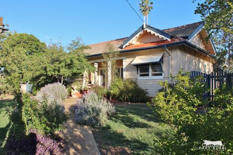 Property photo of 81 Strafford Street Manilla NSW 2346