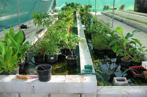 31 Balgal Beach Rd, Balgal Beach, QLD 4816