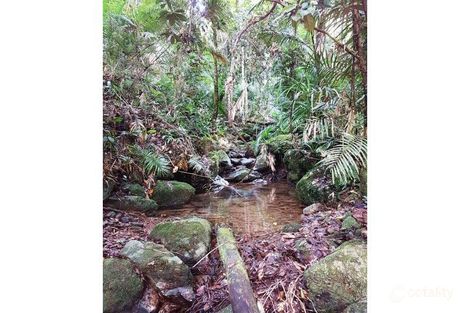 Property photo of 118 Maple Road Cow Bay QLD 4873
