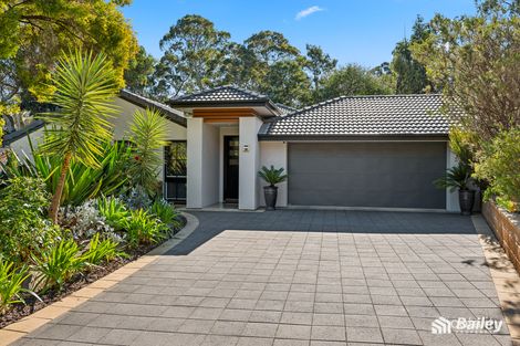Property photo of 29 Fernilee Avenue Tea Tree Gully SA 5091