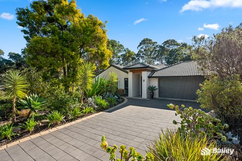 Property photo of 29 Fernilee Avenue Tea Tree Gully SA 5091