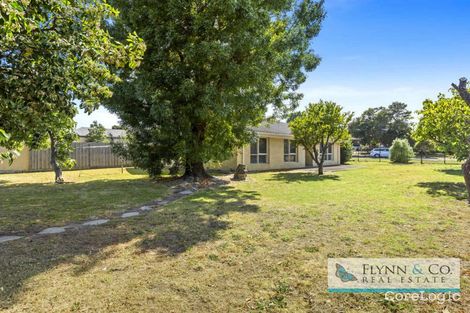 Property photo of 78 First Avenue Rosebud VIC 3939