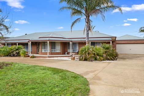 Property photo of 2 Webb Court Maryborough VIC 3465