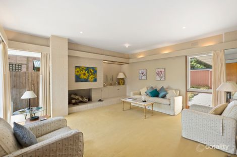 Property photo of 239 Kooyong Road Elsternwick VIC 3185