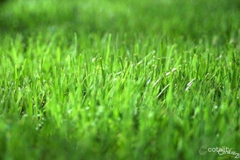 30 Toy St, Longwarry, VIC 3816