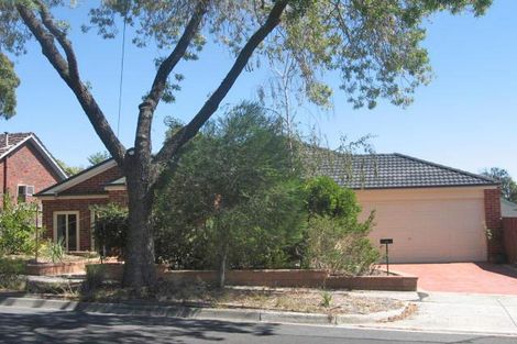 19 Cosgrove St, Vermont, VIC 3133