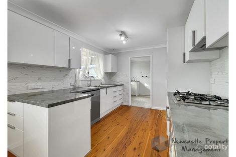 Property photo of 38 Etheridge Crescent Edgeworth NSW 2285