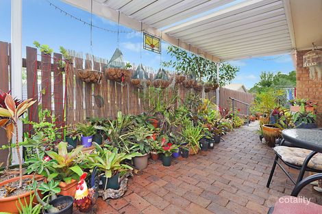 Property photo of 794 Cavendish Road Holland Park QLD 4121