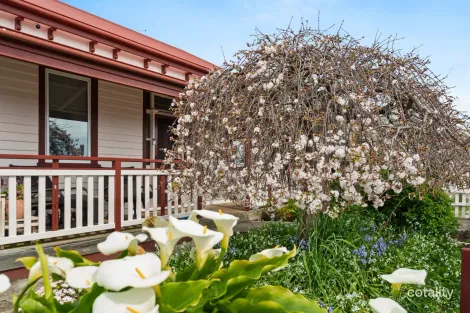 38 King Edward St, Penguin, TAS 7316