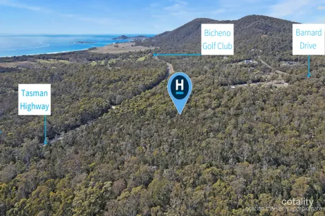 Suncoast Dr, Bicheno, TAS 7215