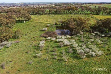 Property photo of 149 Commons Road Young NSW 2594