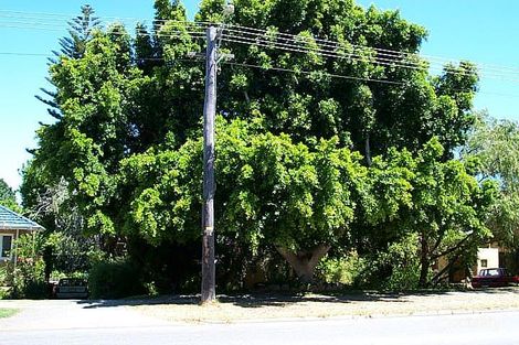 109 Grantham St, Floreat, WA 6014