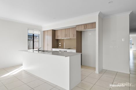 Property photo of 21 Willow Circuit Yarrabilba QLD 4207