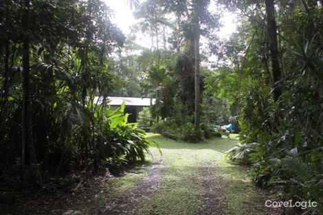 Property photo of 17 Gregory Terrace Kuranda QLD 4881