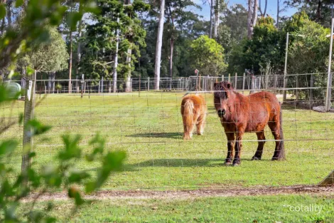 Property photo of 199 Commissioners Flat Road Peachester QLD 4519