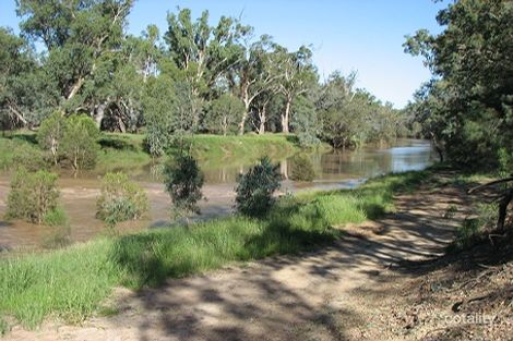 Property photo of 13 Marcus Street Surat QLD 4417