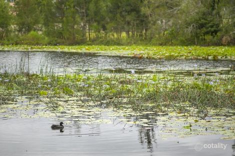 Property photo of 6 Lake Court Urunga NSW 2455