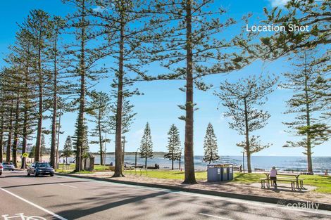 Property photo of 19/4-8 Burne Avenue Dee Why NSW 2099