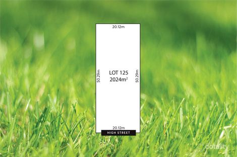 Lot 125 First St, Frances, SA 5262