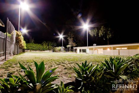 Property photo of 11 Montrose Avenue Netherby SA 5062