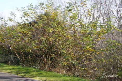 25 Main Rd, Pioneer, TAS 7264