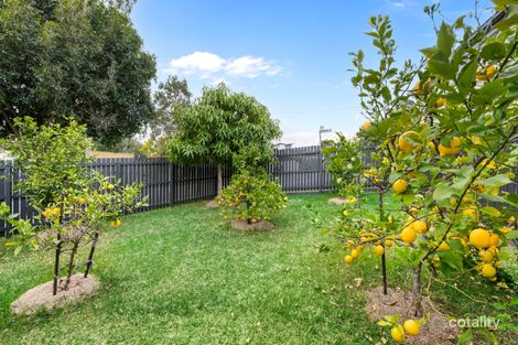 Property photo of 100 Frasers Road Ashgrove QLD 4060