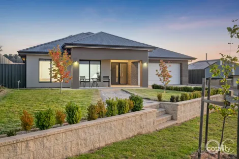 55 Aurora Cct, Meadows, SA 5201