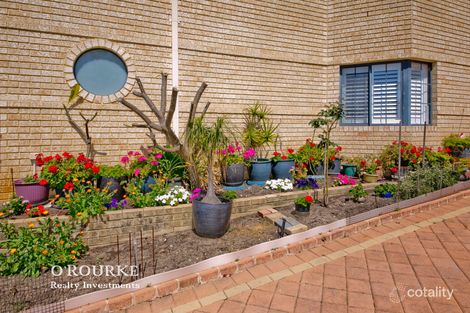 Property photo of 251 Woodside Street Doubleview WA 6018