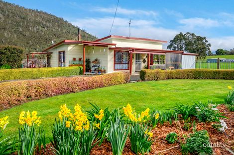 Property photo of 85 Lonnavale Road Judbury TAS 7109