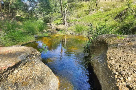 Property photo of 1160 Castlerock Road Castle Rock NSW 2333