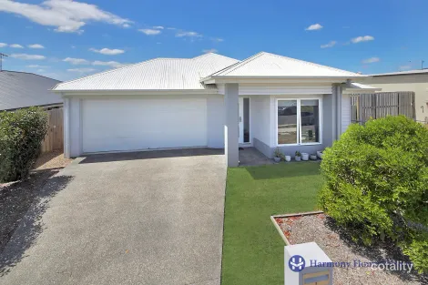 7 Tulip Tree St, Park Ridge, QLD 4125