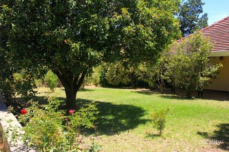 Property photo of 36 Hill Street Mitcham SA 5062