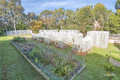 Property photo of 849 Great Ocean Road Bellbrae VIC 3228