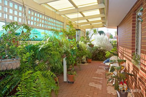 Property photo of 57 Norton Drive Dianella WA 6059