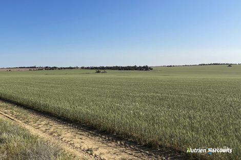 471 Dring Rd, Bunjil, WA 6620