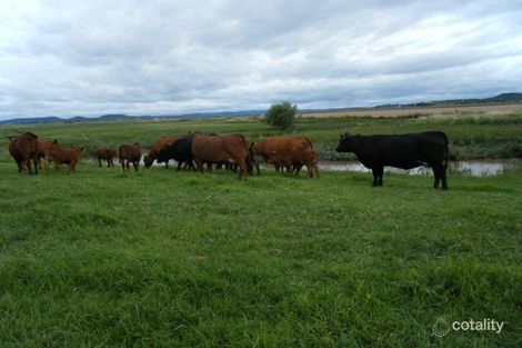 Property photo of 101 Muller Road Clifton QLD 4361