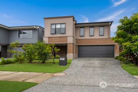 55 Mark Dillon Cct, Spring Mountain, QLD 4300