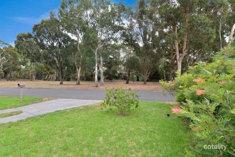 Property photo of 3 Tracey Crescent Lockleys SA 5032