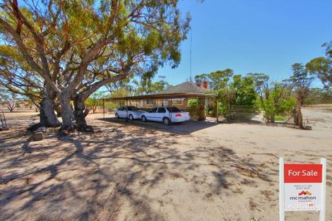 4002 Cunderdin-Minnivale Rd, Hindmarsh, WA 6462