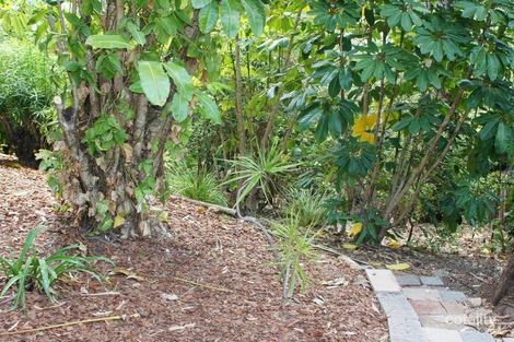 Property photo of 26 Kaffia Court Elanora QLD 4221