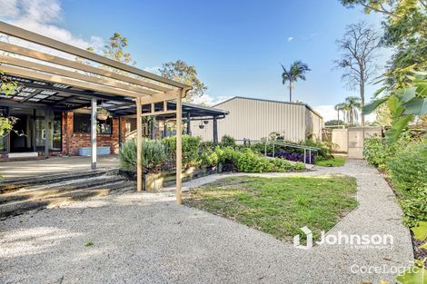 Property photo of 46 Steven Street Camira QLD 4300