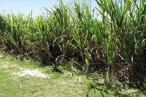 80 Haren Rd, Bellenden Ker, QLD 4871