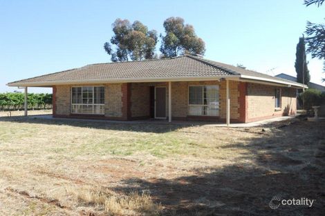 Property photo of 20 Twentyfourth Street Crescent SA 5341